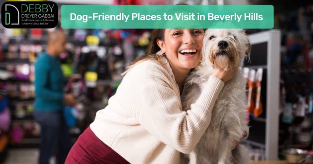 Dog-Friendly Places to Visit in Beverly Hills