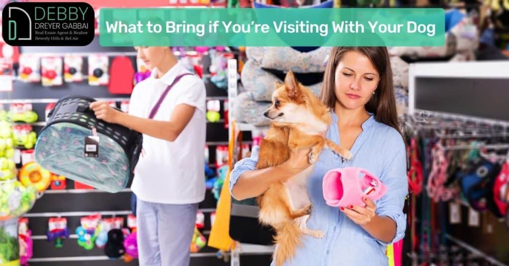 What to Bring if You’re Visiting With Your Dog
