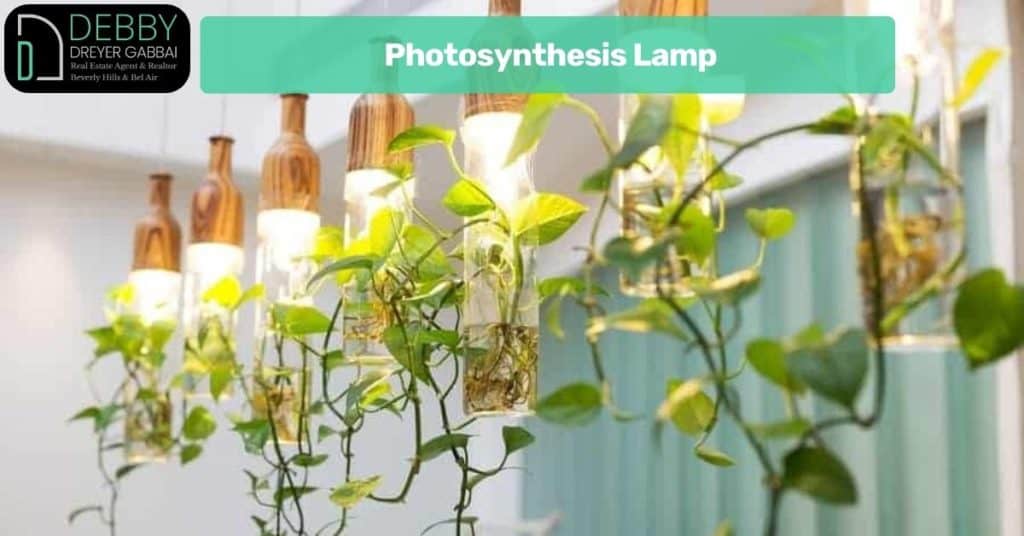 Photosynthesis Lamp