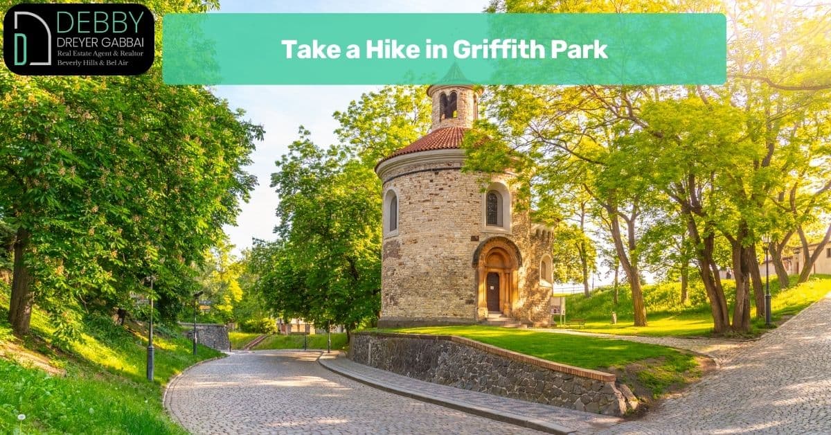 Take a Hike in Griffith Park